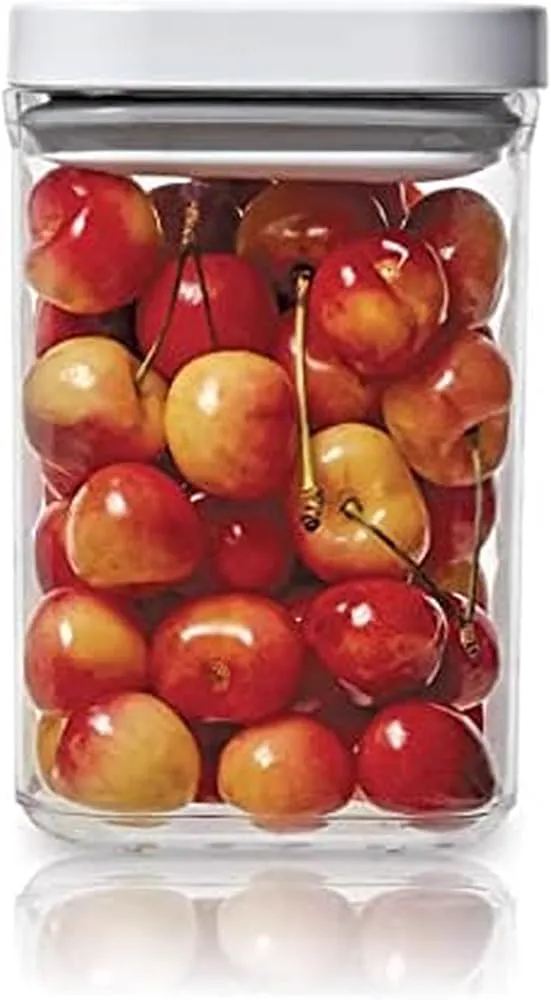 Copco Food and Organization Storage Container with Airtight Lid, 1.05-Quart, Clear